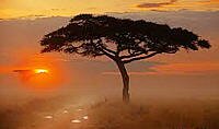 12 Days Masai Mara, Lake Nakuru, Amboseli, Lake Manyara, Serengeti and Ngorongoro Safari - Kenya and Tanzania Combined Safaris - sunset in Serengeti National Park - Tanzania