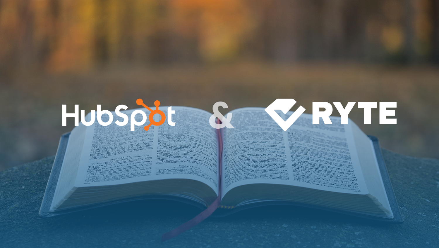 Ryte и Hubspot объединились для создания окончательного (и бесплатного) комплекта SEO-аудита, который включает в себя руководство по SEO-аудиту, контрольный список SEO-аудита и шаблон SEO на странице